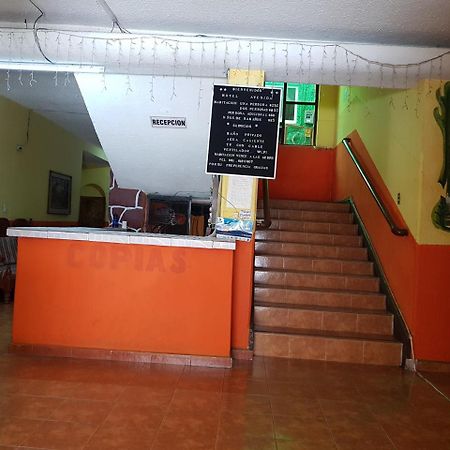 Hotel Avenida Tuxtla Gutiérrez Exteriör bild